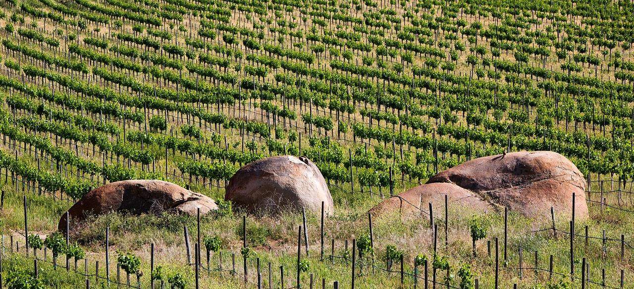 VALLE DE GUADALUPE — destino desde Ensenada, Baja California
